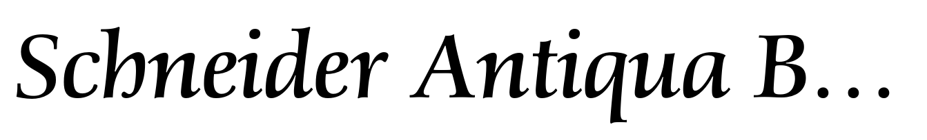 Schneider Antiqua BQ Italic